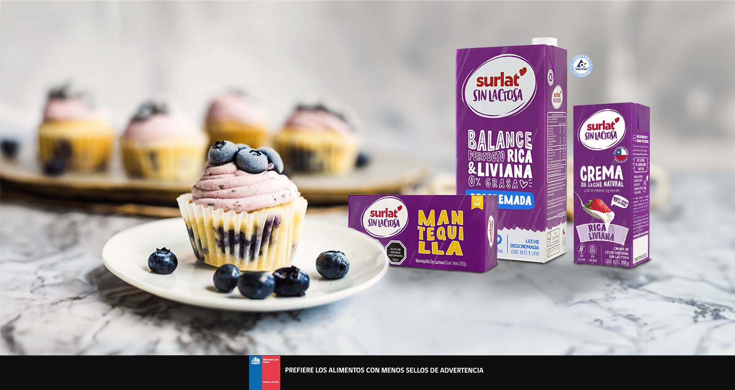 Cupcake Blueberry Sin Lactosa